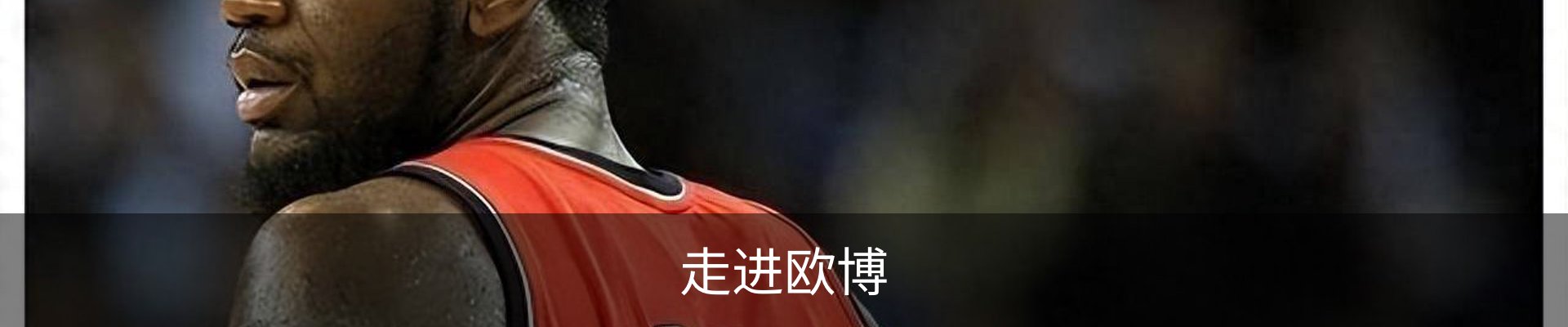 走进欧博